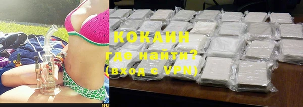 спиды Богородицк