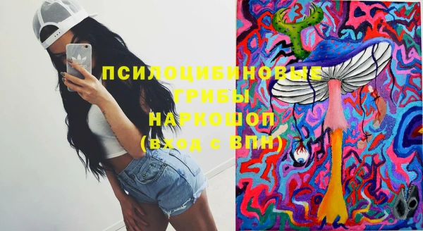 гидра Богданович