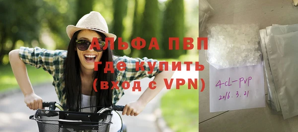 спиды Богородицк