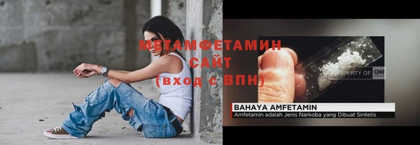 гидра Богданович