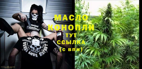 спиды Богородицк
