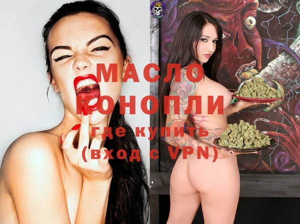 гидра Богданович
