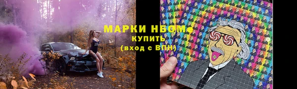спиды Богородицк
