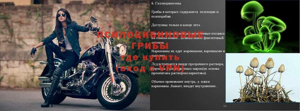 спиды Богородицк
