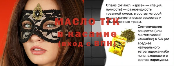 спиды Богородицк