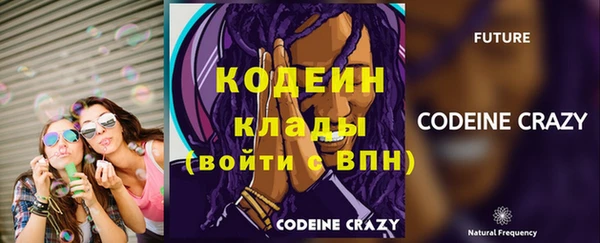 гидра Богданович