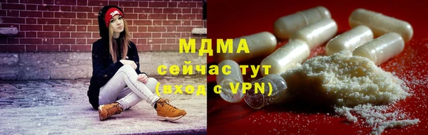 гидра Богданович