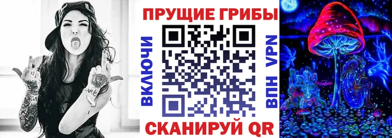 где купить наркоту  Донецк  Псилоцибиновые грибы мухоморы 